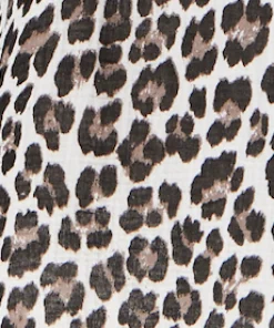Leopard Print  V-Neck Maxi Dress