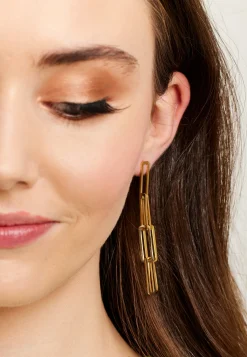 Liquorish Chain Link Earrings In Gold