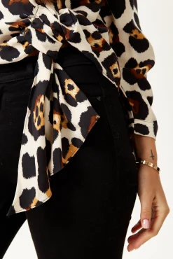 Women's Divine Grace Animal Print Tie Top with Long Sleeves and V-Neck - Regular Fit for Effortless Style