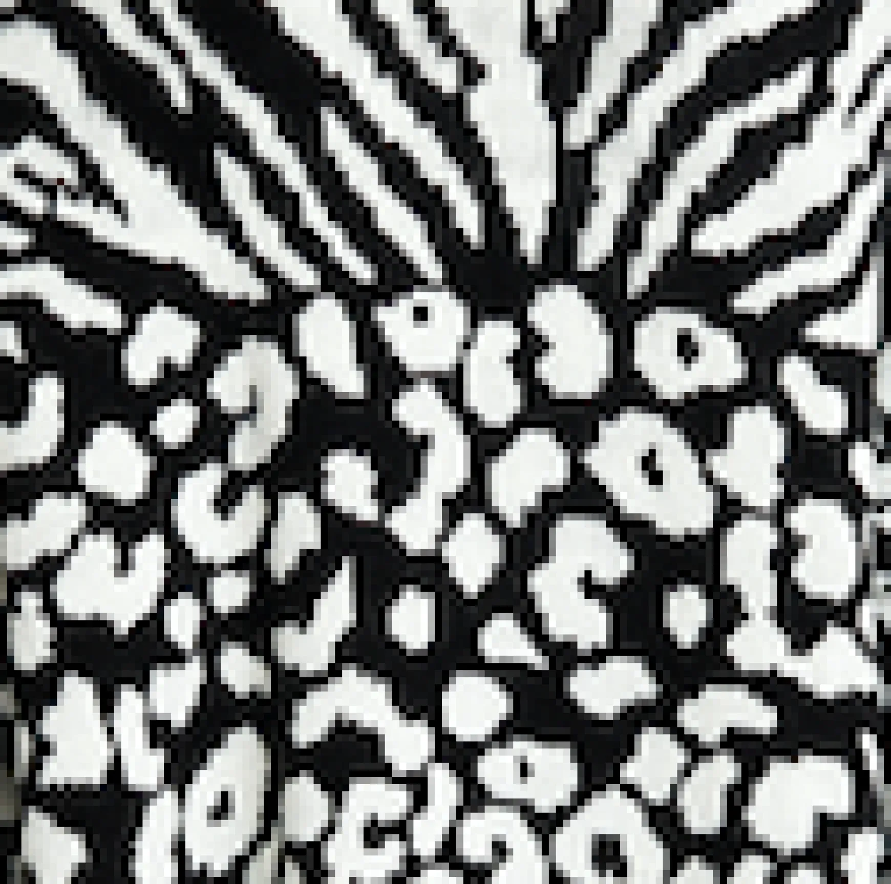 Women's Longline Cardigan in Black and White Zebra Pattern, Long Sleeves, Open Front Design - Liquorish