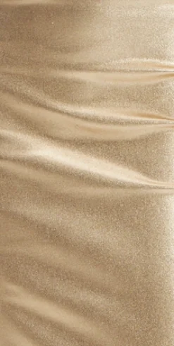 Women’s Midi Dress with Corset Style, Metallic Foil Gold Lycra, Eyelet Details, Bodycon Fit
