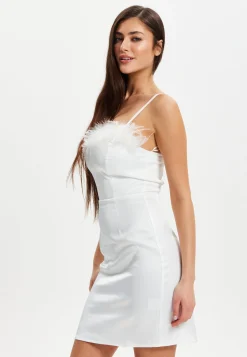 Women's Mini Dress with Fur Detail and Sweetheart Neckline