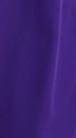 Women’s Purple Wide Leg Trousers with High Waist, Elasticated Waist & Front Pockets - Liquorish