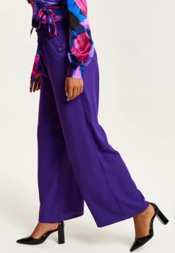 Women’s Purple Wide Leg Trousers with High Waist, Elasticated Waist & Front Pockets - Liquorish