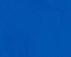 Women’s Shirt in Blue with Point Collar, Button Placket, Loose Fit, and Cuffs – Perfect for Any Occasion.