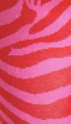 Women's Trousers in Pink Zebra Print with Fleece Lining and Adjustable Stirrup Hem - Liquorish