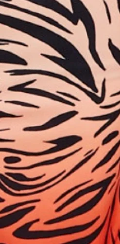 Women's Zebra Print Shirt With Accentuated 70's Collar Detail In Orange And Nude - Long Sleeves, Side Pocket